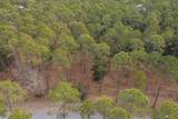 7534 Morning Marsh Trail - Photo 7