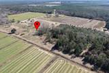 3687 Gordon Land Road - Photo 5