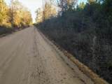 TBD County Road 65 - Photo 6