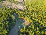 TBD County Road 65 - Photo 7