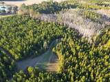 TBD County Road 65 - Photo 8