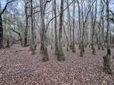 4769 Davis Rd - Photo 18