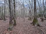 4769 Davis Rd - Photo 21