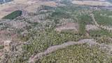 4769 Davis Rd - Photo 30