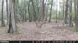 4769 Davis Rd - Photo 32