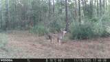 4769 Davis Rd - Photo 33