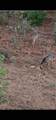 4769 Davis Rd - Photo 35