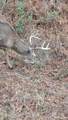 4769 Davis Rd - Photo 36
