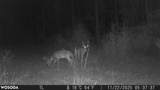 4769 Davis Rd - Photo 40