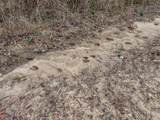 4769 Davis Rd - Photo 6