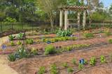 400 Kelly Plantation Drive - Photo 42