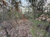 Lots 9-11 Tangerine & Lot 2 Girl Scout - Photo 9