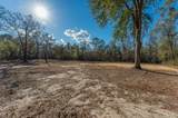 1520 Brunson Road - Photo 25