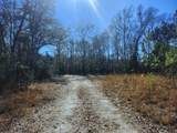 4857 County Hwy 181 - Photo 10