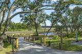 8724 Lime Drive - Photo 91