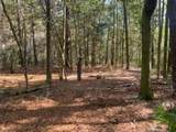 Parcel C Sunburst Drive - Photo 30