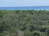 255 Cypress Drive - Photo 48
