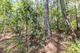 Lot 8 Mallet Road - Photo 10