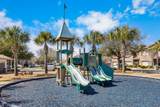 8808 Brown Pelican Circle - Photo 51