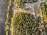 Lot 37 Holly Lake Ct - Photo 4