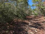 TBD Willow Bend Drive - Photo 3