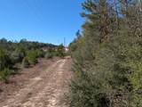TBD Willow Bend Drive - Photo 4