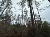 Tract#6418 Mattox Springs Road - Photo 5