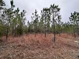 Tract#6418 Mattox Springs Road - Photo 3