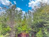 Tract#6418 Union Hill Road - Photo 5