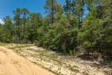 90 AC Wildwood Lakes Drive - Photo 12