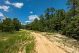 90 AC Wildwood Lakes Drive - Photo 13