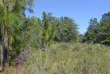 xxx Aplin (32 Ac.) Road - Photo 12
