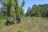 xxx Aplin (32 Ac.) Road - Photo 13