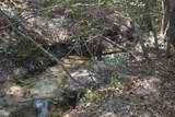 xxx Aplin (32 Ac.) Road - Photo 16