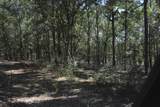 xxx Aplin (32 Ac.) Road - Photo 5