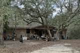 87 Adams Creek Road - Photo 2