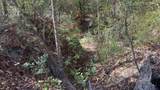0 Native Creek Road - Photo 10