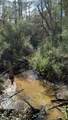 0 Native Creek Road - Photo 8