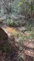 0 Native Creek Road - Photo 9
