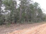 Lot 6 Jonquil West Avenue - Photo 3