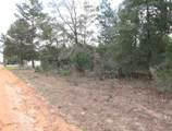 Lot 6 Jonquil West Avenue - Photo 6