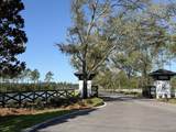 Lot 22 Reserve At Hammock Bay - Photo 2