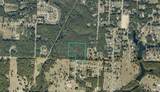 0000 Santee Street - Photo 5