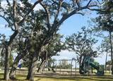75 Hankins Road - Photo 14