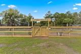 4000 Gulf Terrace Drive - Photo 29