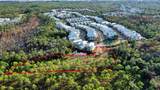 398 Flatwoods Forest Loop - Photo 8