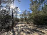 0 Bear Head Road - Photo 5