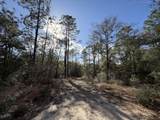 0 Bear Head Road - Photo 6