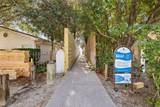 41 Dogwood Street - Photo 105