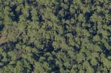 lot 7 14th Street - Photo 4